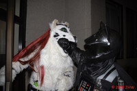 Nom nom nom nom nom nom nom