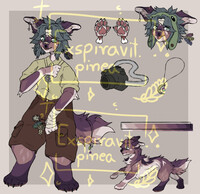 adopt - open