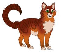 Warrior Cats] - Jayfeather by Snooozebox -- Fur Affinity [dot] net