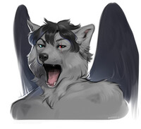 Yawning wolf