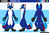 Fuzer Reference Sheet