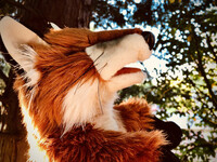 A Gift from CuteFoxie