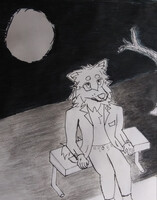 Moon and Bench Wolf