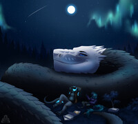The Nightly Sky (cm)