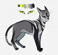 Street Cat [adopt open]