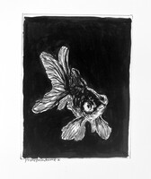 A hello from the void