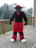 Diablo the Bull fullsuit complete 1 of 5