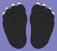 Villince's Nargacuga Soles