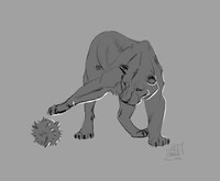 Sketch