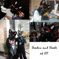 Shadow and Shade @ EF16