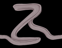 Tongue - Z
