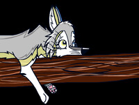 Either lounging on a branch