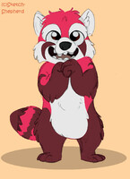 panda-ring to the audience