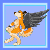 Nomad Genesis +Angel+