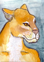 Lioness ACEO
