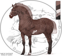 Horse adopt - CLOSED