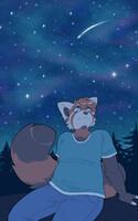 stargazing panda