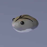 Hamster model