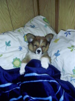Tryin' to sleep, woman!