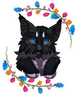 Midnight  Warrior cats by plush_nessie -- Fur Affinity [dot] net