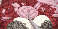 Hose&Blob #11 - Deer_belly