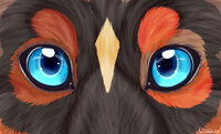 :Trade: 2 of 3 SunsetCollie - Daisy - Painted Eyes