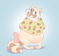 Where are the cookies?