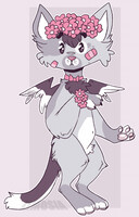 Kitty
