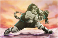 Rocky’s Tiger Style!