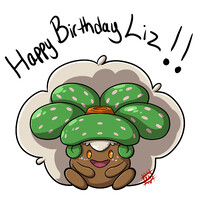 Happy Birthday Miss Shadow Lovely!