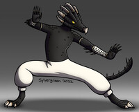 Drakkoness