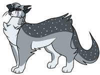 Saltstar