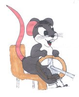 Young Marco Mouse
