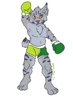 Bobcat Boxer