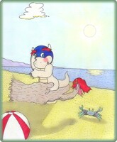 Shade Koopa_Beach Misap