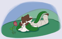 Flower-watching