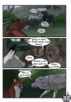 Wolf's Journey : Page 88