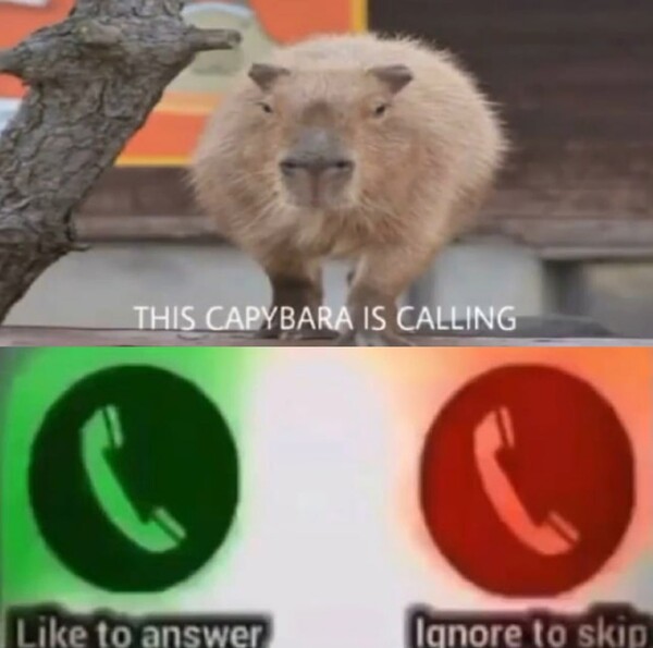 Respondendo a @el_capybara1124 O erro dela foi dizer o Nome dele #kibu