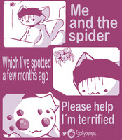 Spider