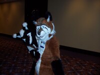 MFF 2010