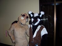 MFF 2010