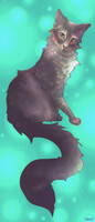 Soft Kitty