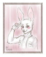 Bunny sketch