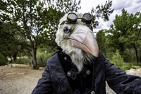 Caw! Fursuit Friday
