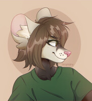 ferret