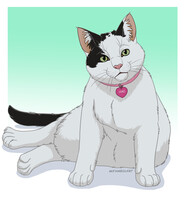 Mao