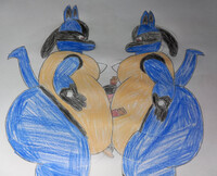 Xaier is stuck by 2 Fat Lucarios