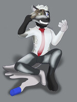Haida suit