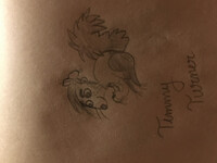 The Furrly Oddparents: Timmy Turner