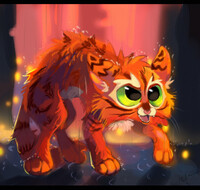 STRAY   CAT